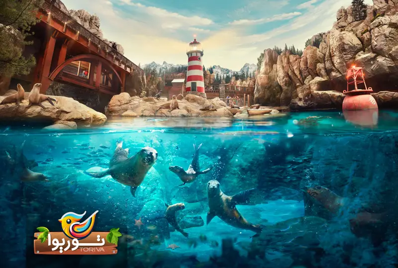 Seaworld Abu Dhabi | دنیای زیر آب ابوظبی